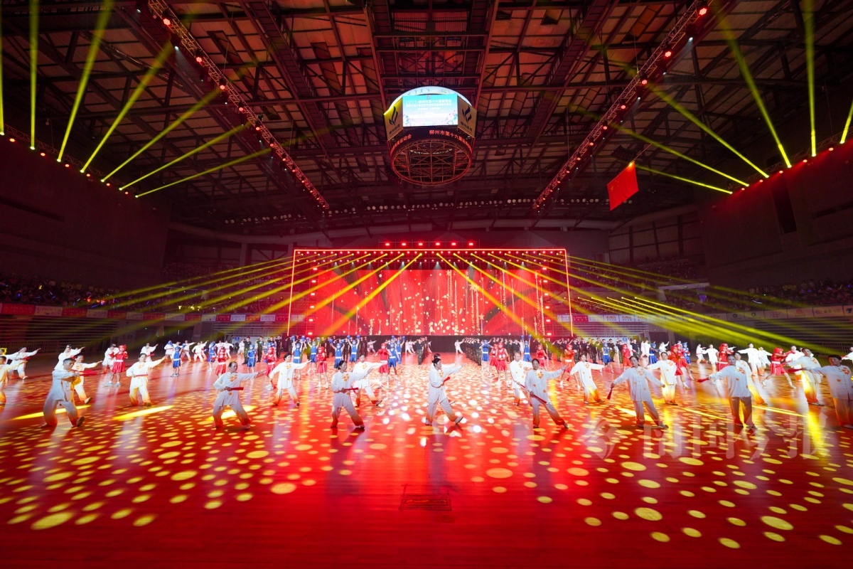 太极展演2-南国今报-何俊涛.jpg
